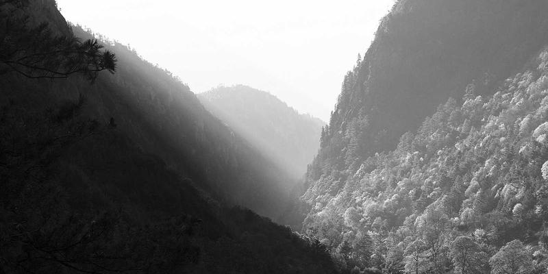 乌克兰切尔诺夫策大学建筑群：探访“小维也纳”的学术与艺术殿堂