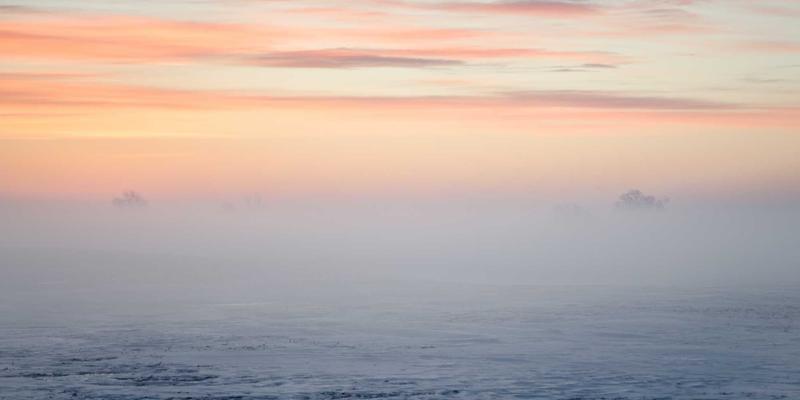 乌克兰赫尔松州沙漠奇观:在阿斯坎尼亚-诺瓦与野生动物共舞的奇幻之旅